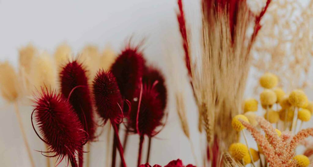 naturmaterialien trockenblumen deko herbstfarben