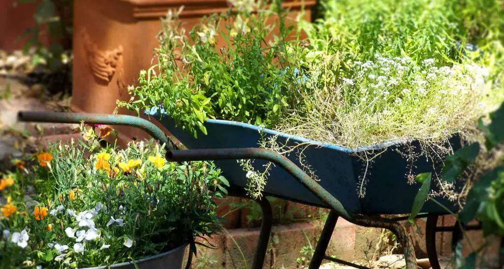 upcycling Upcycling