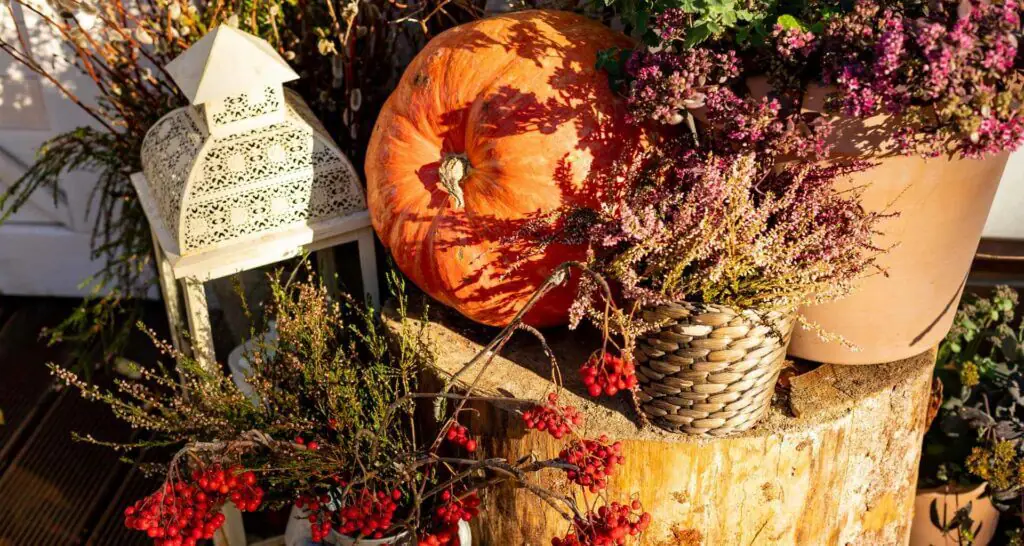 garten-deko-herbst gartendeko laterne Herbst deko ideen
