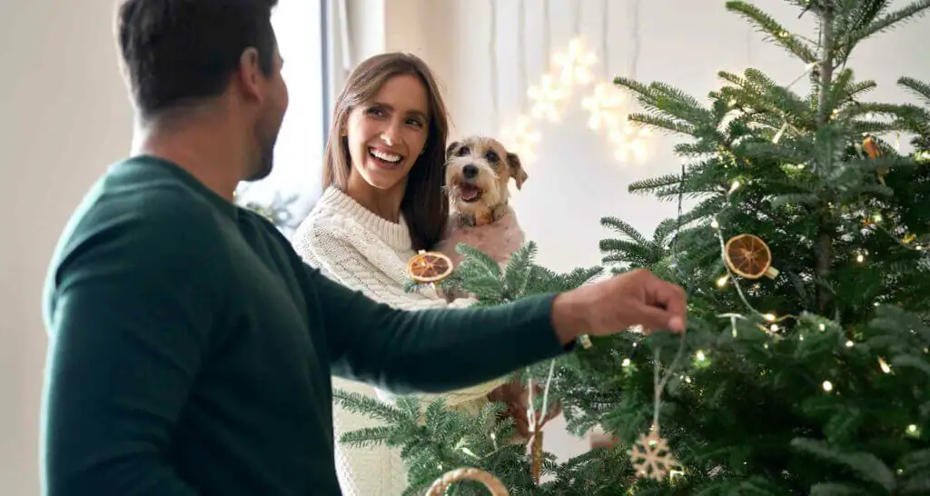 weihnachtsbaum schmücken natürlich weihnachtsbaum schmücken natürlich