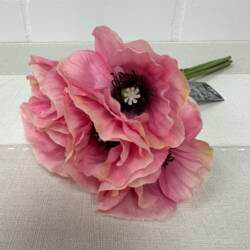 22543-1-mohn-bund-ainara-rosa