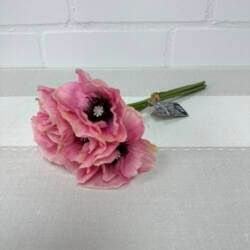 22543-mohn-bund-ainara-rosa
