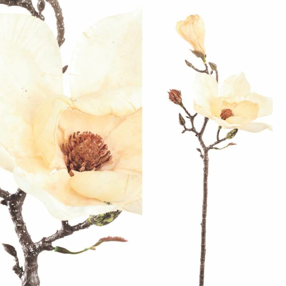 22620-magnolien-zweig-cream