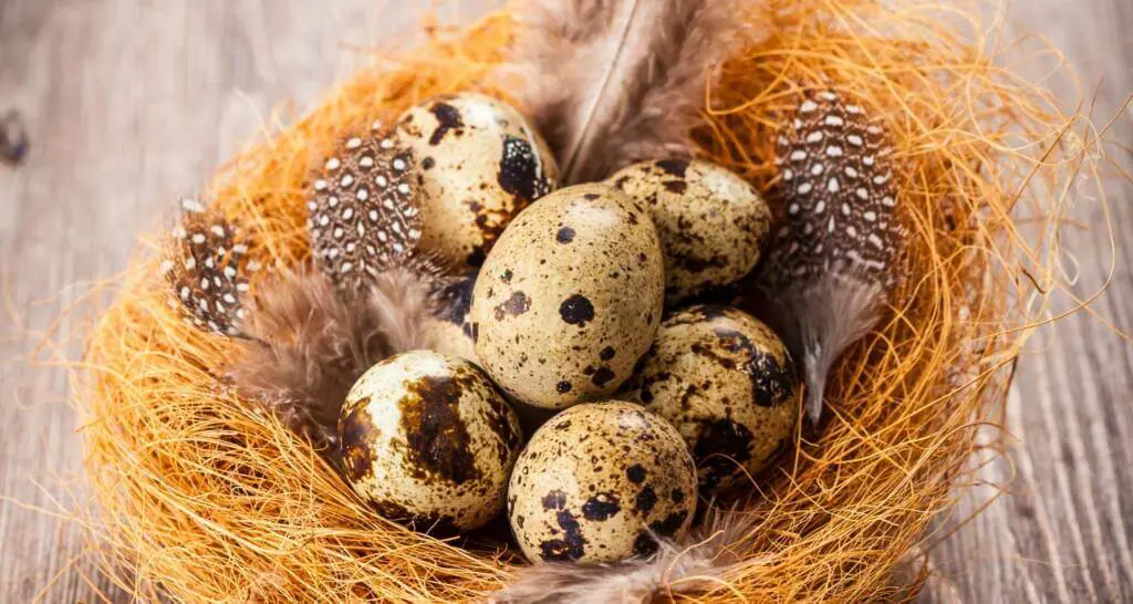 osterdeko für draußen mit naturmaterialien osterdeko für draußen mit naturmaterialien
