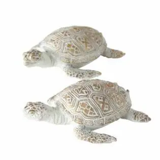 22747-schildkröte-quila