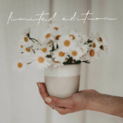 Limitierter Becher Daisy – Bild 2