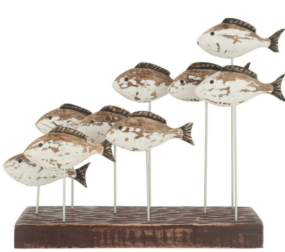 Fischschwarm auf Fuß – Bild 1