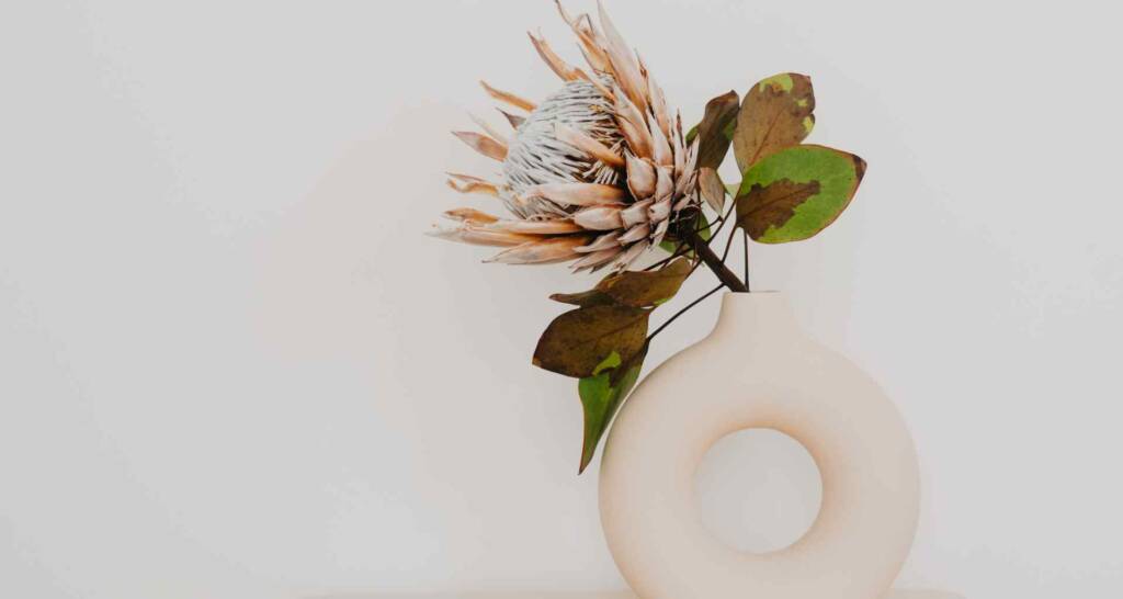 protea moderne trockenblumendeko minimalistische deko idee vase