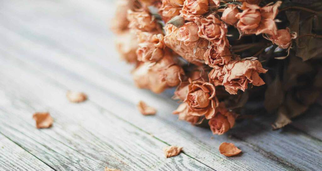 22 tolle Trockenblumen Deko Ideen und Hochzeitsdeko mit Trockenblumen –  Blog – Wilkens Wohnstudio