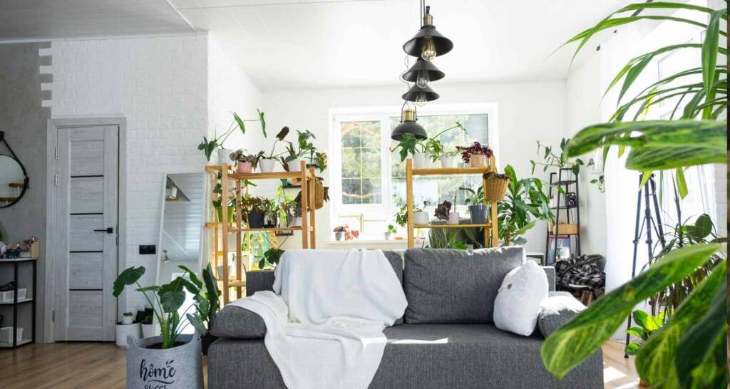 urban jungle deko pflanzendeko deko mit Zimmerpflanzen