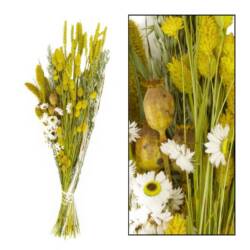 23032-1-trockenblumen-strauß-gelb.jpg