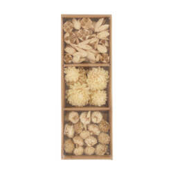 23035-1-box-exotic-trockenblumen.jpg