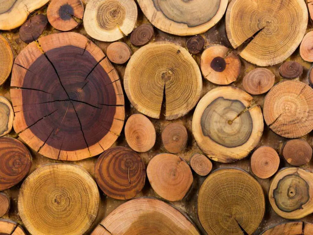 Holzdeko Ideen für den Herbst
