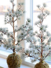 23221-2-zedernbaum-mit-led.jpg