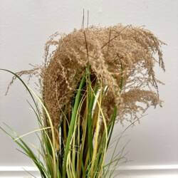 19707-2-künstliches-gras-schilf-im-topf-dijk.jpg