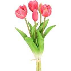 21759-1-tulpenbund-camilla-pink-vosteen.jpg