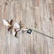 15179-2-zweig-magnolienblätter-ptmd.jpg