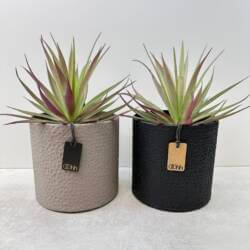 Geschenke zum Einzug – 21 tolle Ideen 69 20480-2-madrid-zylinder-zero-west-lübech-living.jpg
