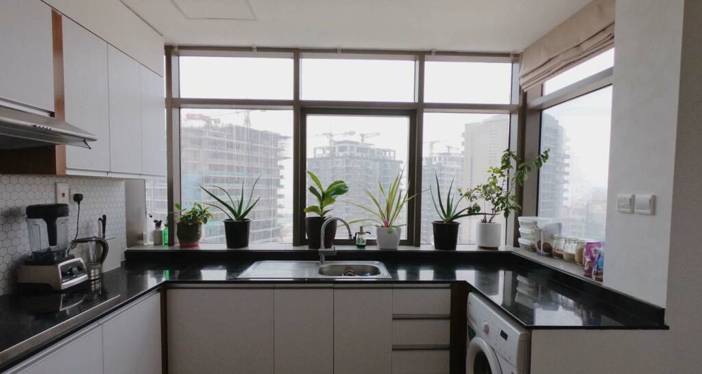 Moderne Küchen Deko mit Pflanzen