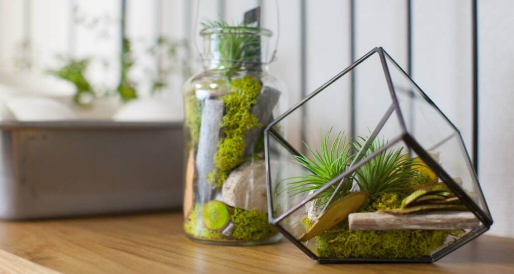 Tischdeko Idee Pflanzendeko im Glas
