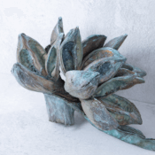 23527-2-sororoca-frucht-aqua-couronne.png