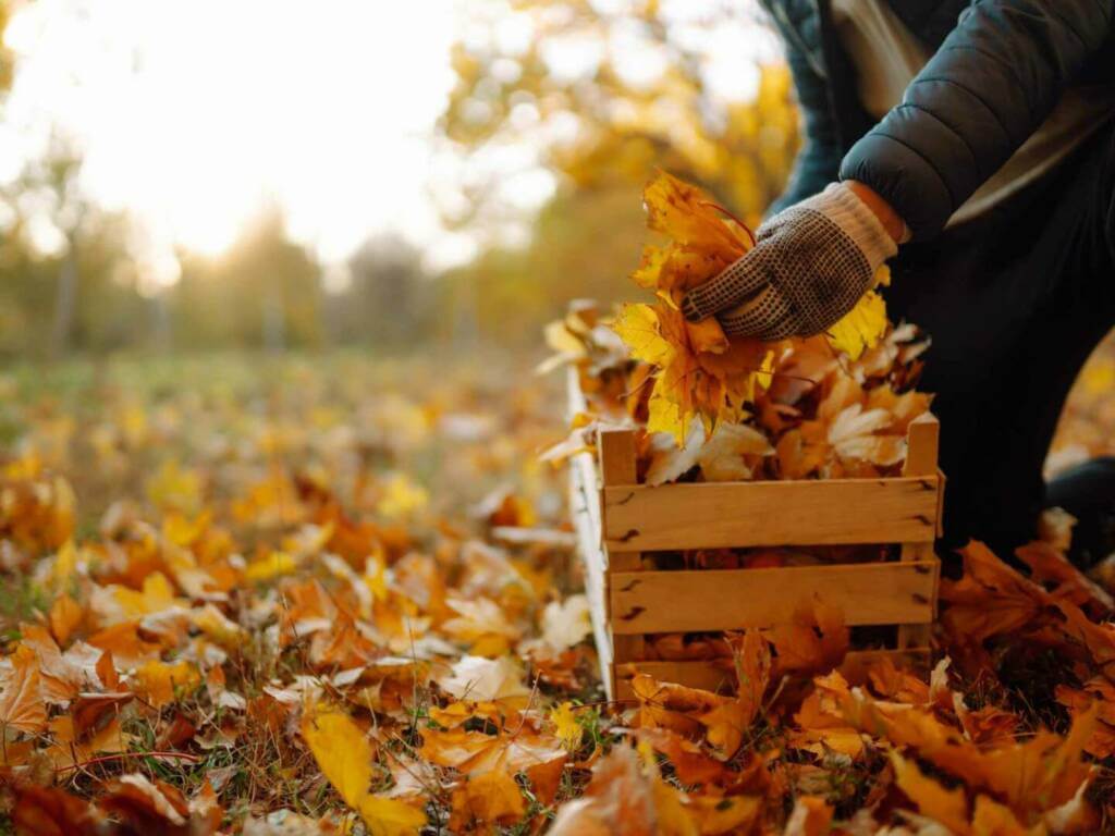 Garten im Herbst
