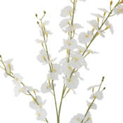 23712-1-orchid-stiel-weiß-bloomingville.jpg