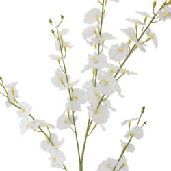 23712-1-orchid-stiel-weiß-bloomingville.jpg