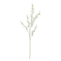 23712-2-orchid-stiel-weiß-bloomingville.jpg