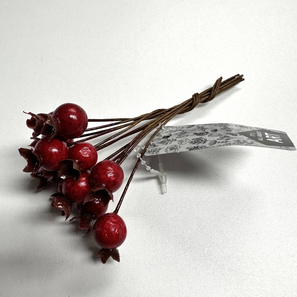 23656-1-hagebutten-pick-rot-vosteen.jpg