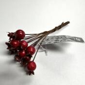 23656-1-hagebutten-pick-rot-vosteen.jpg