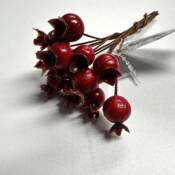 23656-2-hagebutten-pick-rot-vosteen.jpg
