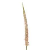 23714-1-foxtail-stiel-rosa-bloomingville.jpg