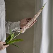 23714-3-foxtail-stiel-rosa-bloomingville.jpg
