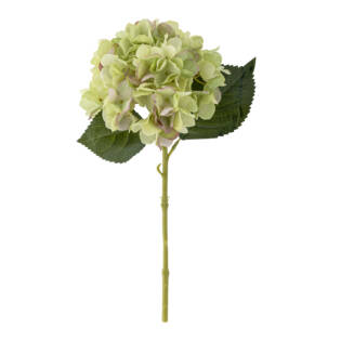 23715-1-hortensien-stiel-1-blüte-bloomingville.jpg