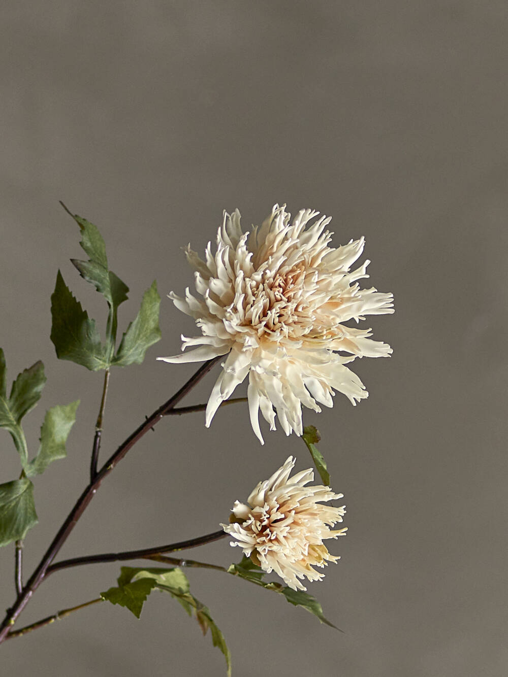 23758-3-chrysantemum-stiel-cremig-weiß-bloomingville.jpg