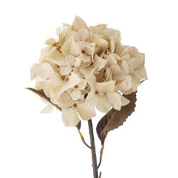 23759-1-hydrangea-stiel-cremig-weiß-bloomingville.jpg