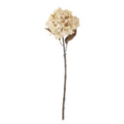 23759-2-hydrangea-stiel-cremig-weiß-bloomingville.jpg