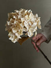 23759-3-hydrangea-stiel-cremig-weiß-bloomingville.jpg