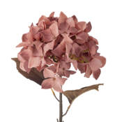 23764-1-hydrangnea-stiel-rosa-bloomingville.jpg
