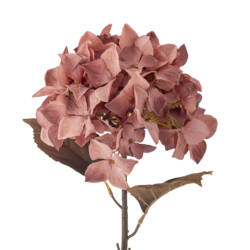 Blumendeko – 17 tolle Ideen für florale Deko 14 23764-1-hydrangnea-stiel-rosa-bloomingville.jpg