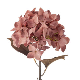 23764-1-hydrangnea-stiel-rosa-bloomingville.jpg