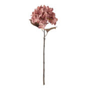 23764-2-hydrangnea-stiel-rosa-bloomingville.jpg