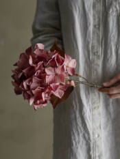 23764-3-hydrangnea-stiel-rosa-bloomingville.jpg