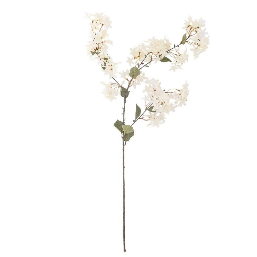 23765-2-myrtle-zweig-weiß-bloomingville.jpg
