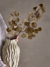 23762-3-eucalyptus-stiel-braun-bloomingville.jpg