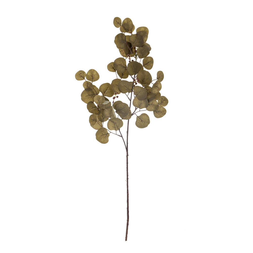 23762-2-eucalyptus-stiel-braun-bloomingville.jpg