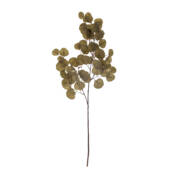 23762-2-eucalyptus-stiel-braun-bloomingville.jpg