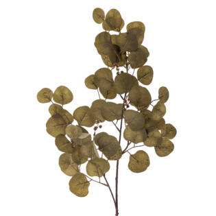 23762-1-eucalyptus-stiel-braun-bloomingville.jpg