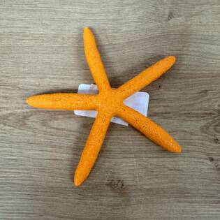 23784-001-seestern-agon-orange-vosteen.jpg